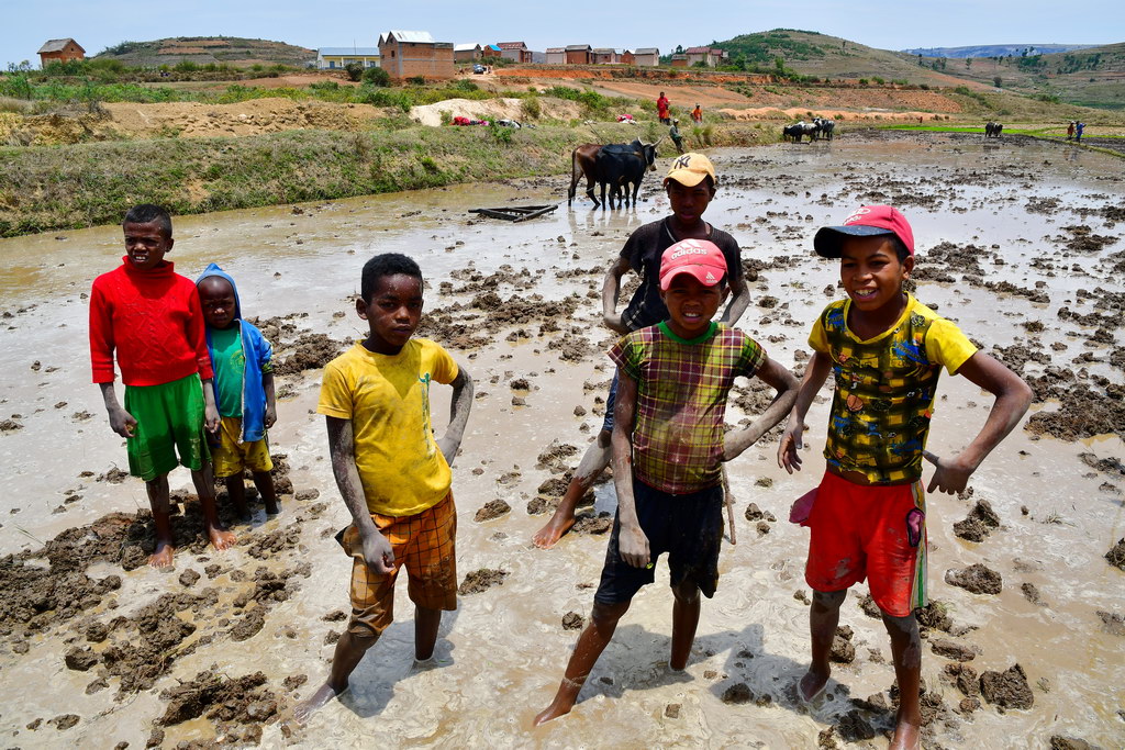 Ambositra Region